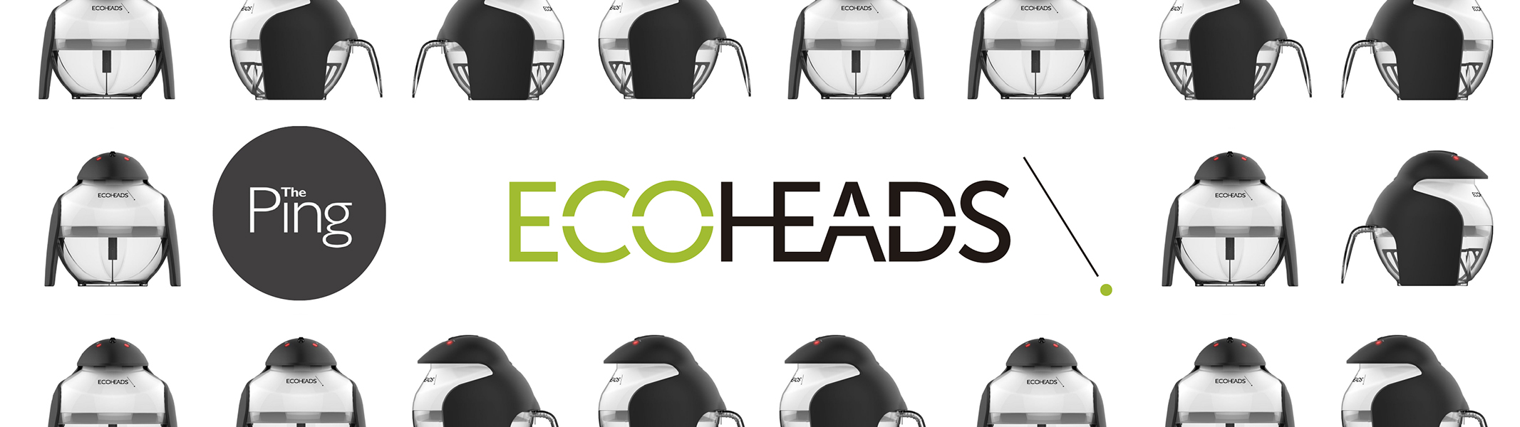 SALON CULTURE ECOHEADS